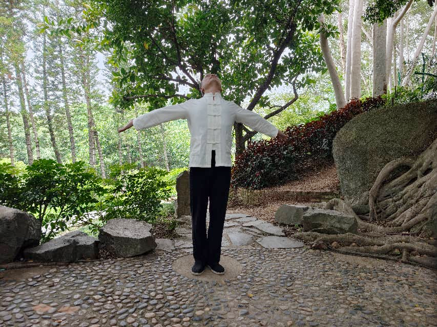 Neck & Shoulder Ease Flow - Image 6