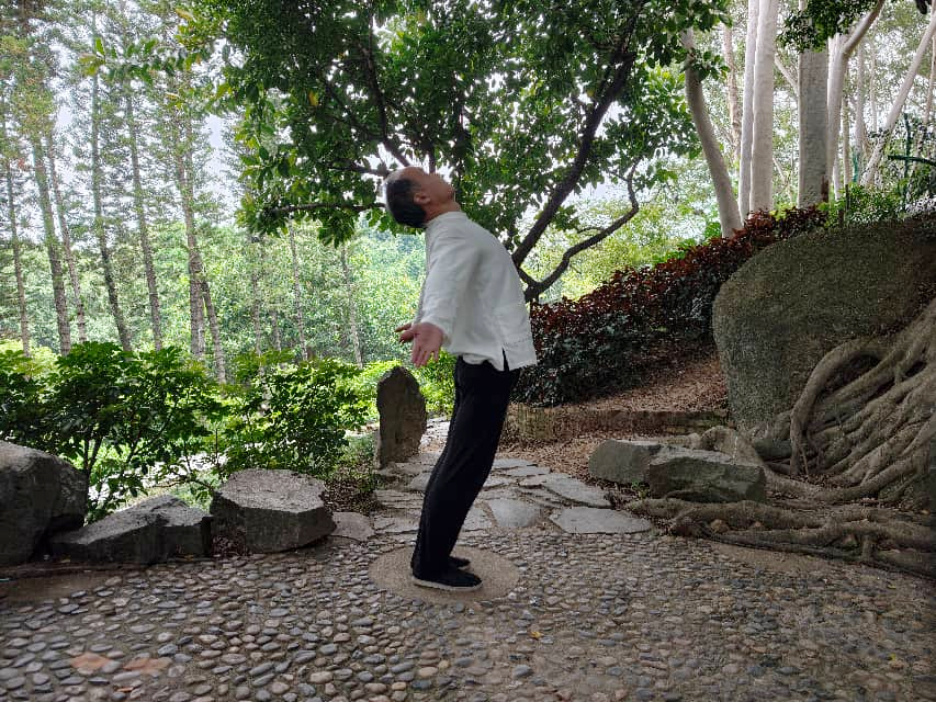 Neck & Shoulder Ease Flow